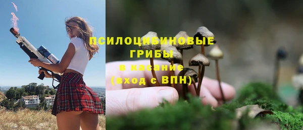 героин Дмитриев