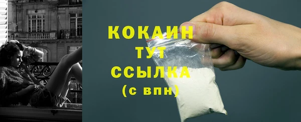индика Гусиноозёрск