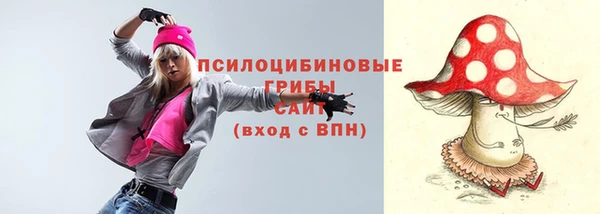 индика Гусиноозёрск