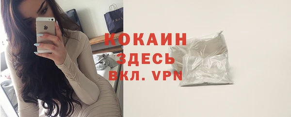 индика Гусиноозёрск