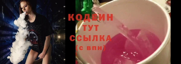 индика Гусиноозёрск