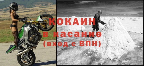 индика Гусиноозёрск