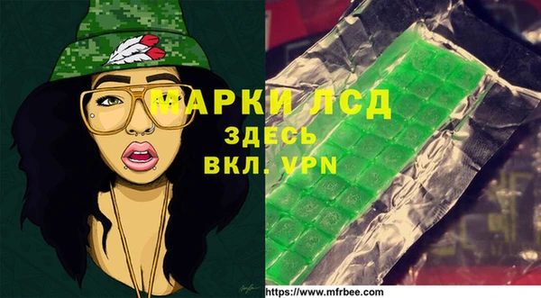 индика Гусиноозёрск