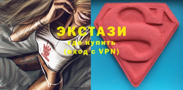 индика Гусиноозёрск