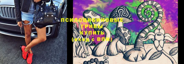 прущая мука Гусев