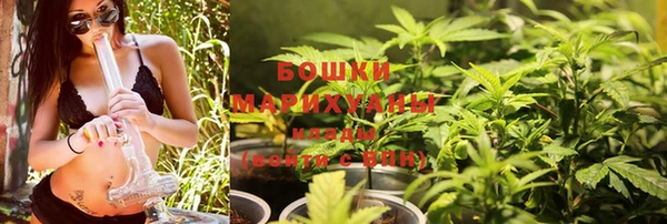 индика Гусиноозёрск